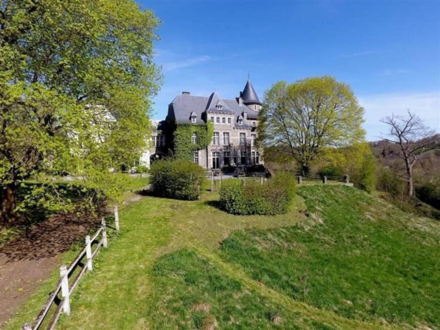 Le Petit Chateau De Blier Villa Erezee Ngoại thất bức ảnh